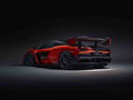 McLaren-Senna (5)