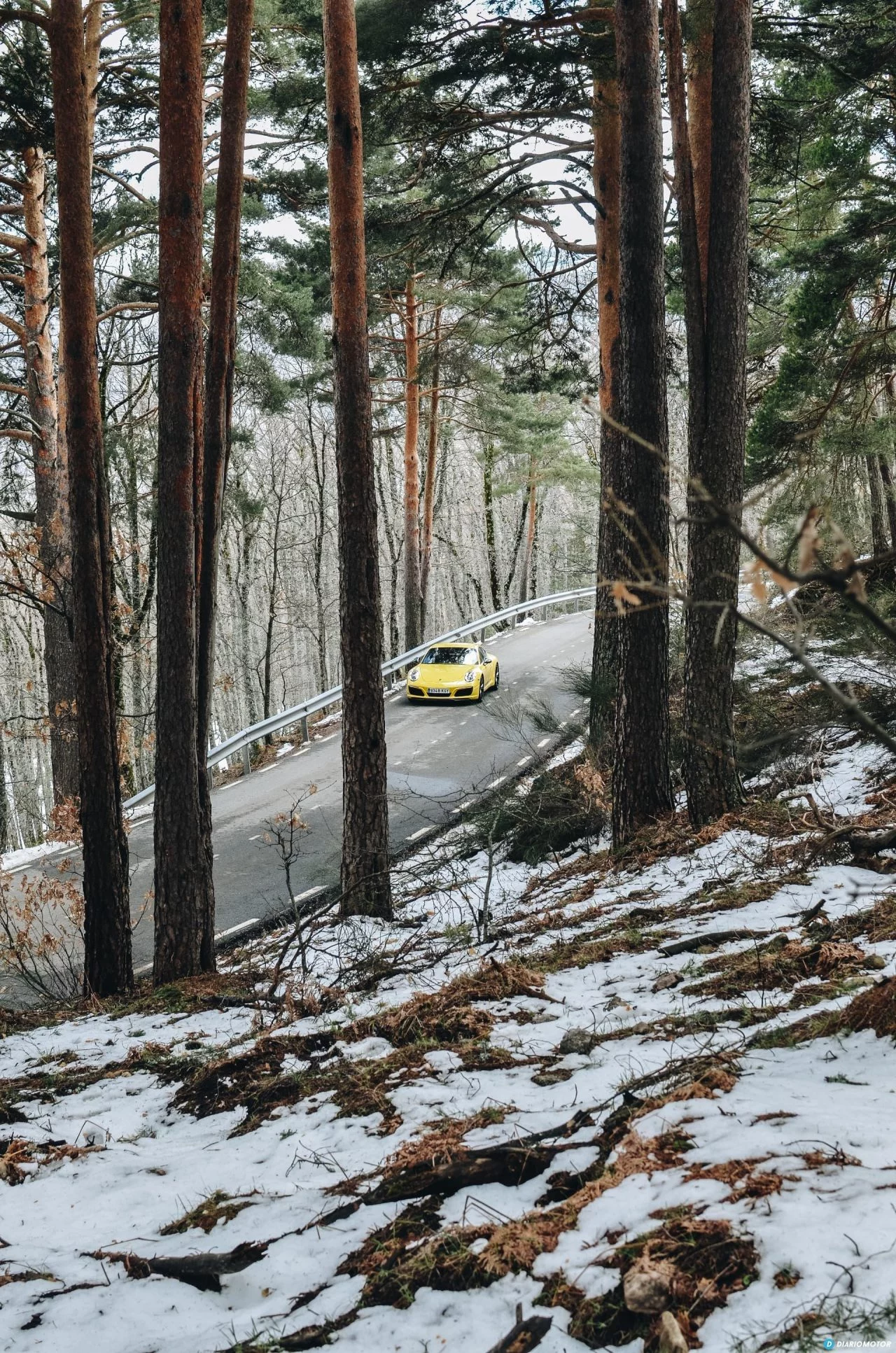 Porsche 911 Carrera 5 31