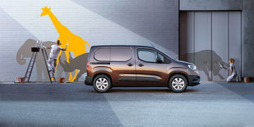 Opel Combo 2018 06