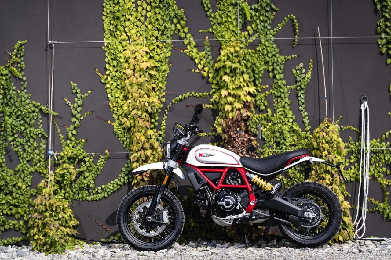 1623513 Ducati Scrambler Desert Sled Ambience 01 Uc67948 High