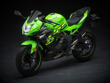 Kawasaki Ninja 125 Dm 4