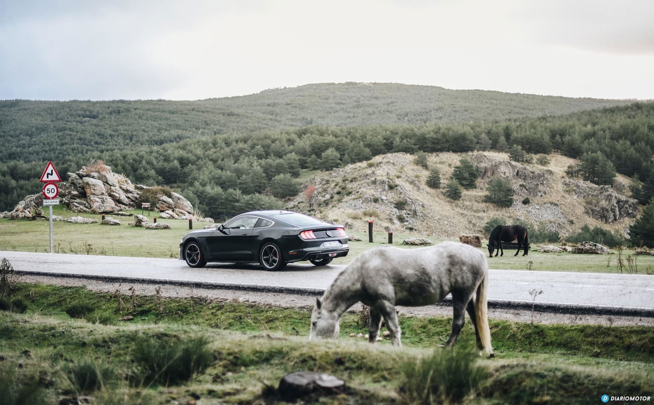 Ford Mustang Bullit Prueba Ford Mustang 12