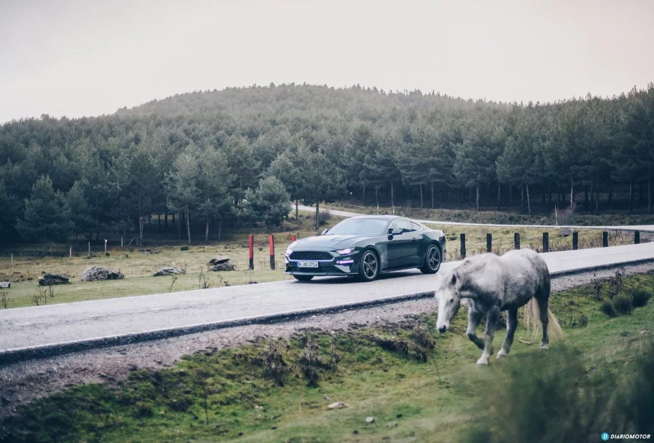 Ford Mustang Bullit Prueba Ford Mustang 14