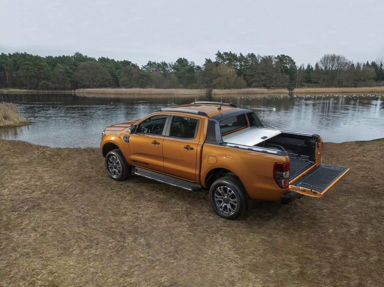 Ford Ranger 2019 Wildtrak 5