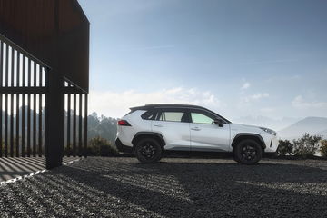 Toyota Rav4 2019 0119 116