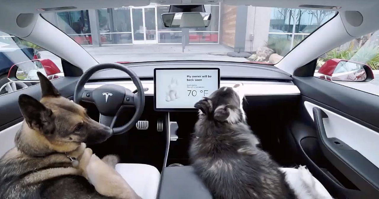 Tesla Dog Mode 0219 01