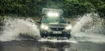 Peugeot 3008 Todoterreno Camper Dm 6