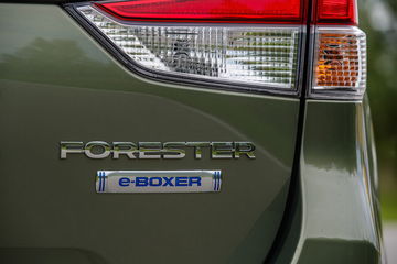 Forester E Boxer High 030 22791