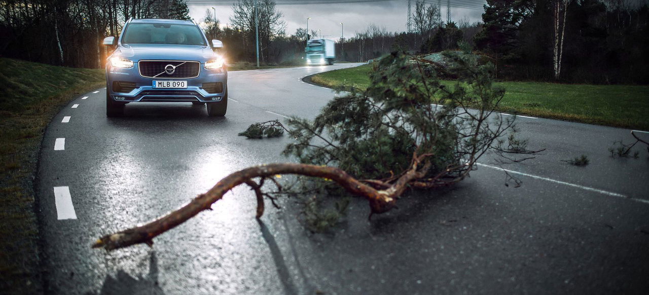 Conducir Con Viento Arbol Volvo