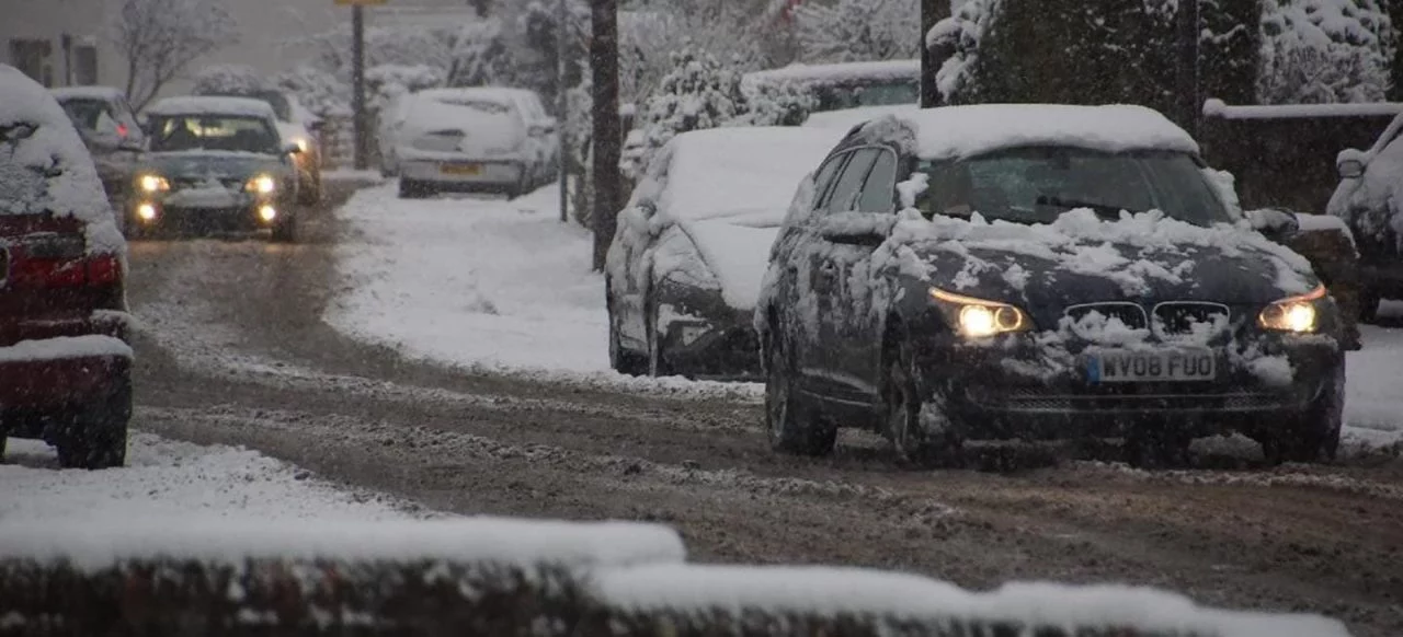 Nieve Coches