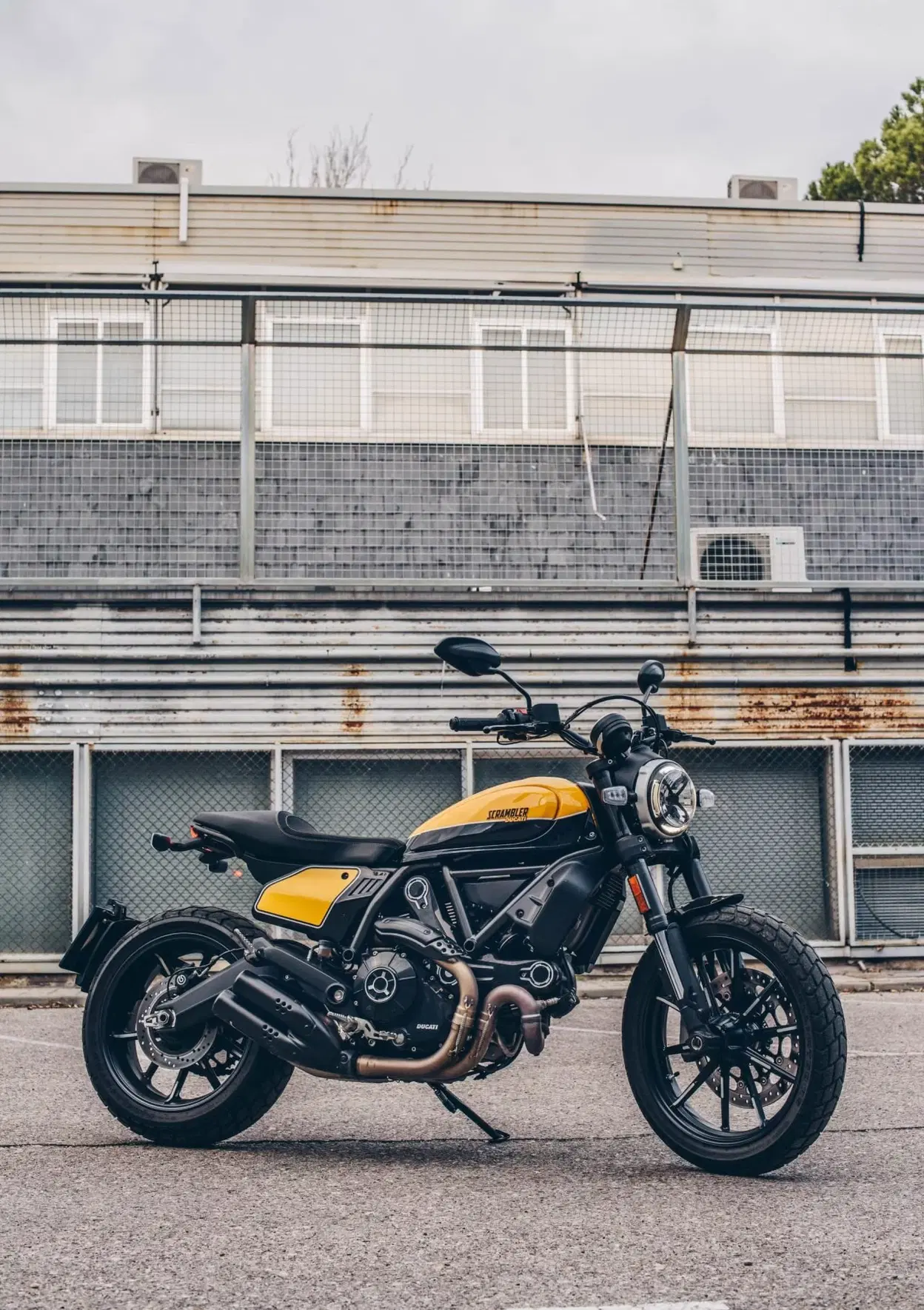 Ducati Scrambler Cuarentena Ago 25