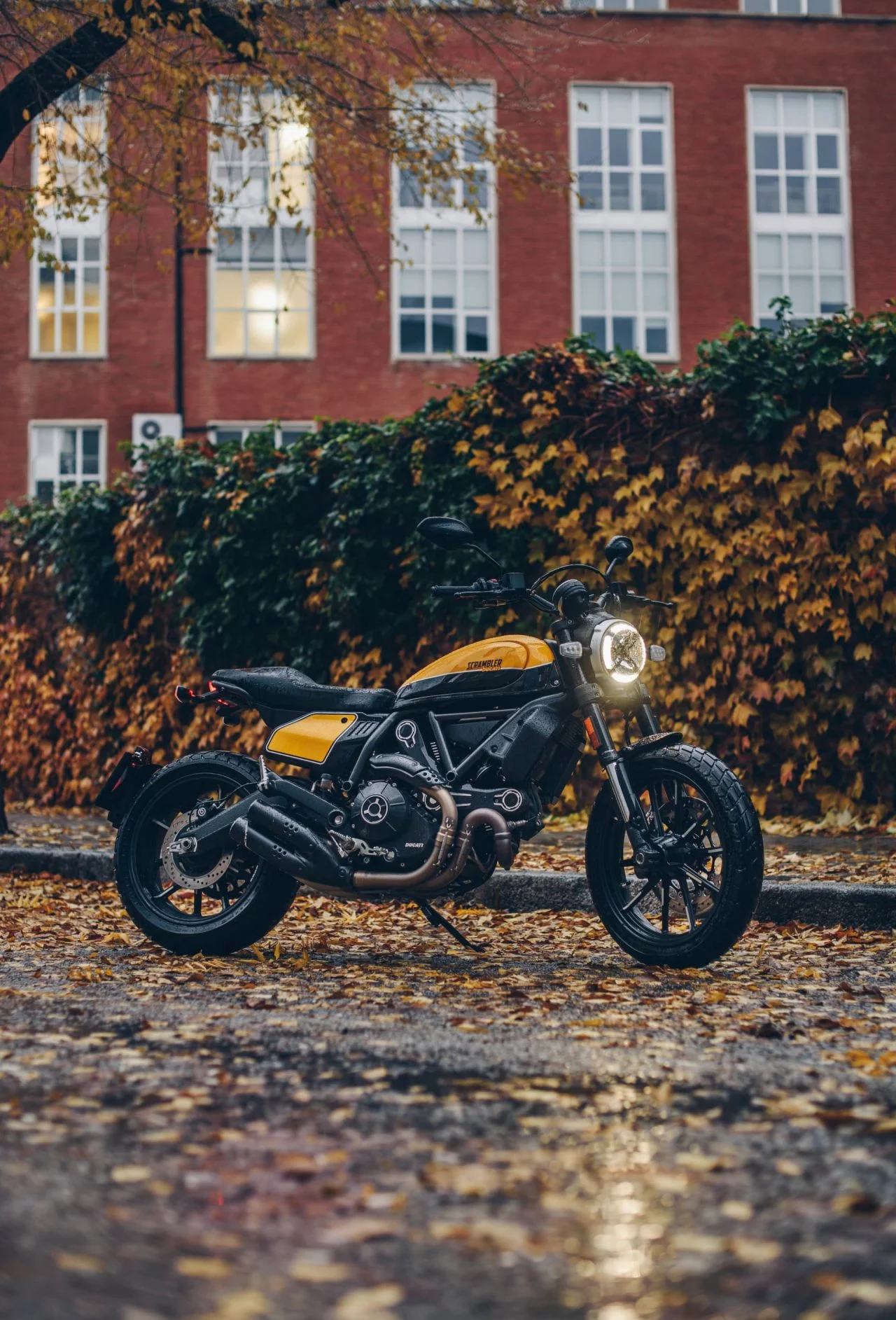 Ducati Scrambler Lluvia 7