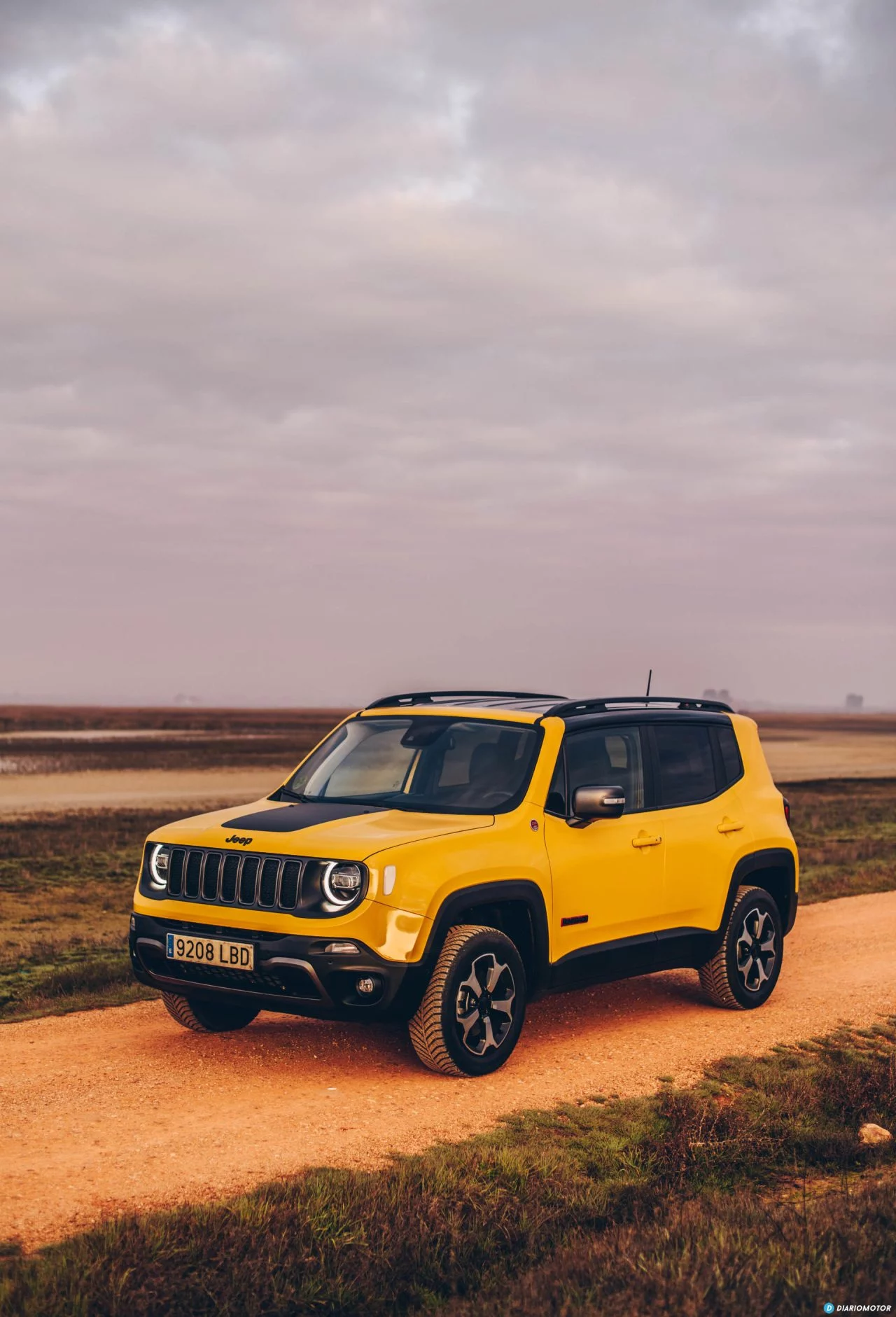 Jeep Renegade 10