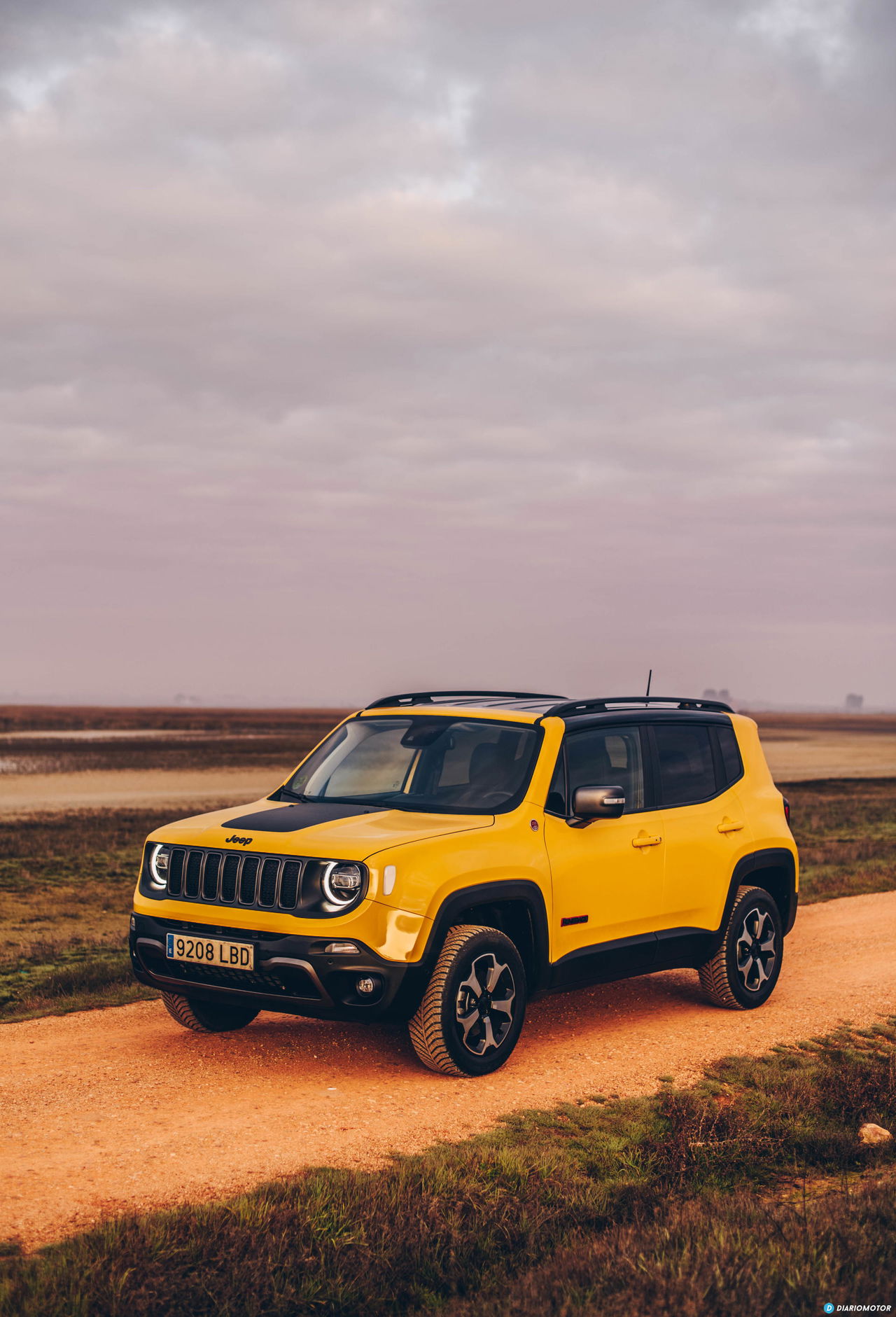 Jeep Renegade 10