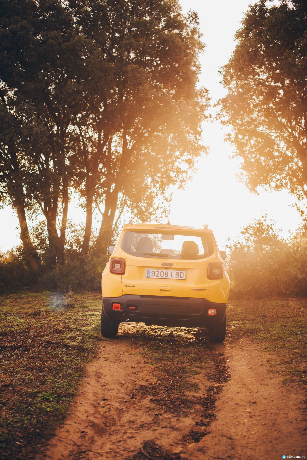 Jeep Renegade 23