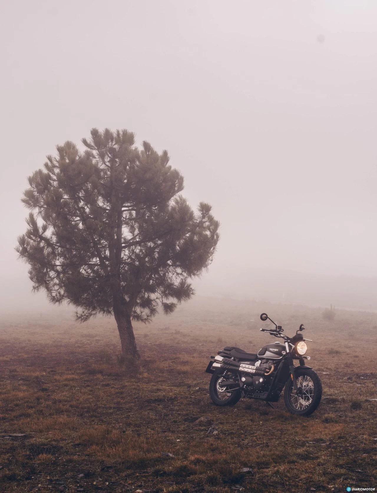 Triump Street Scrambler Prueba 13