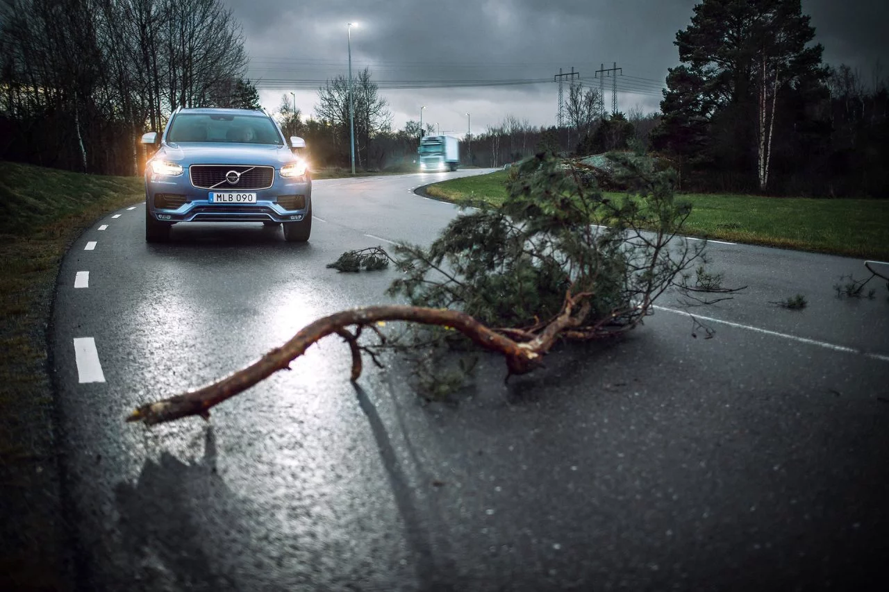 Volvo Seguridad Animales