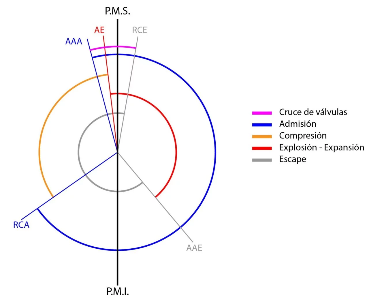 Distrobucion Variable Diagrama 01