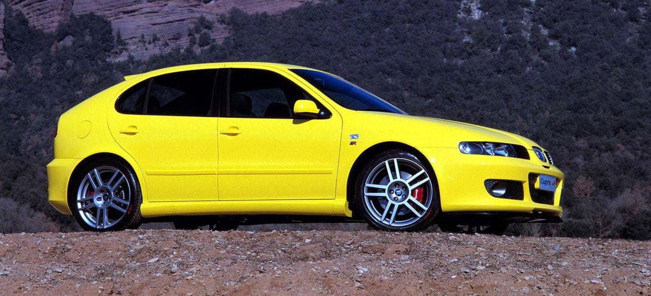 Vender Coche Usado Seat Leon Cupra