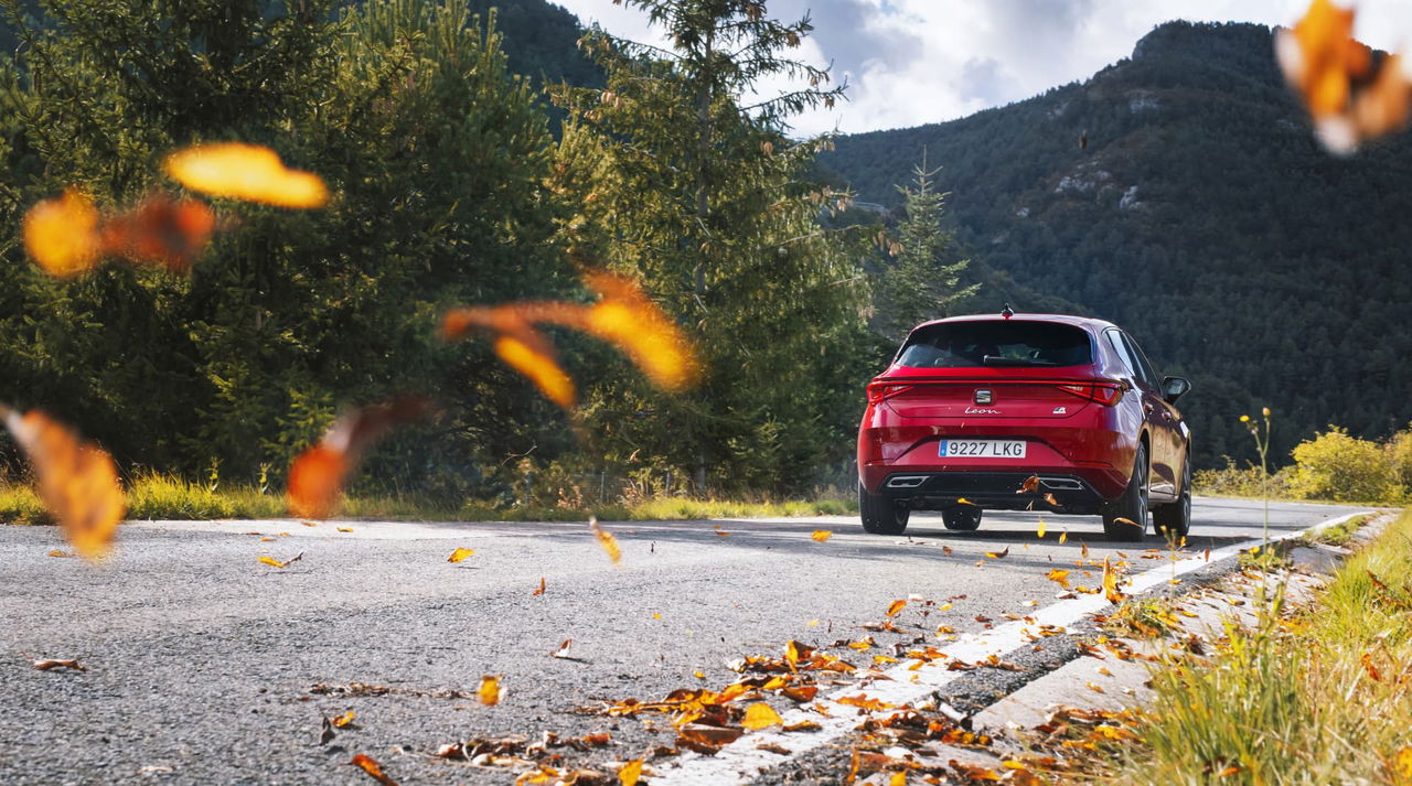 Seat Leon Ehybrid 32