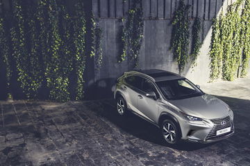 Lexus Nx Oferta Agosto 2021 06 Exterior