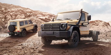 Mercedes Clase G W464 8