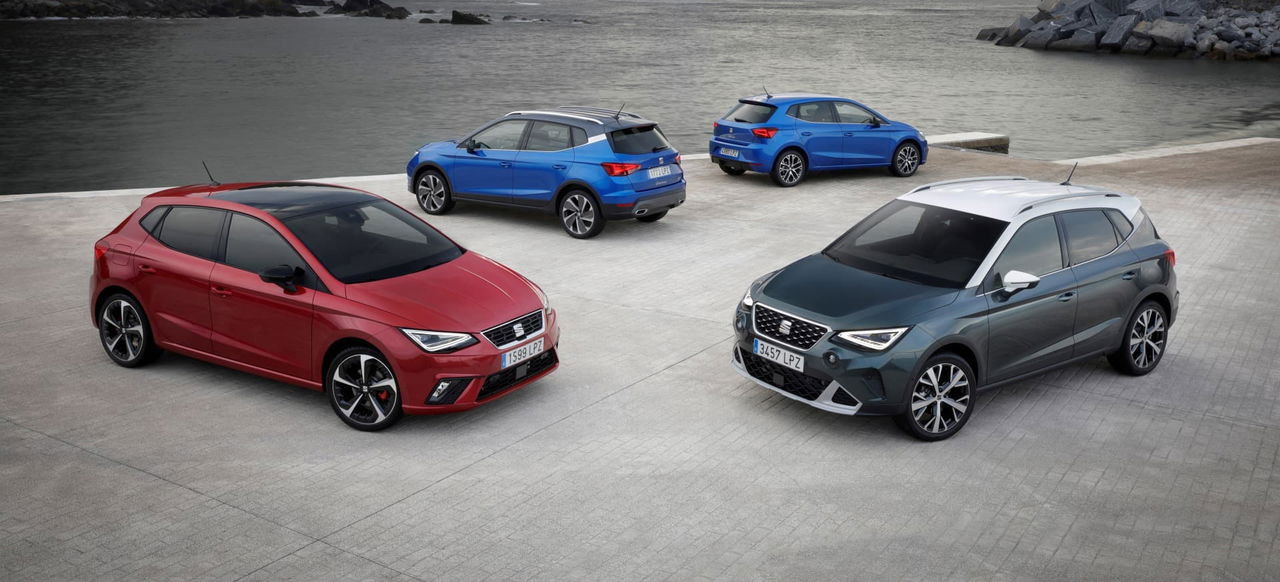 Matriculaciones Noviembre 2021 Seat Ibiza Arona