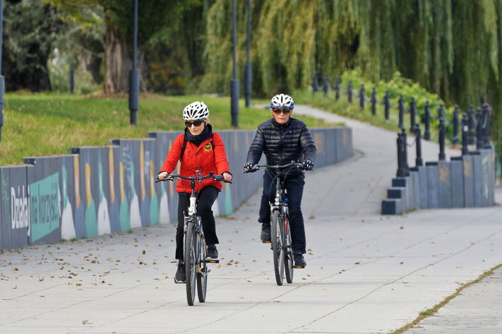 Ciclistas Coches Rotonda Prioridad 03