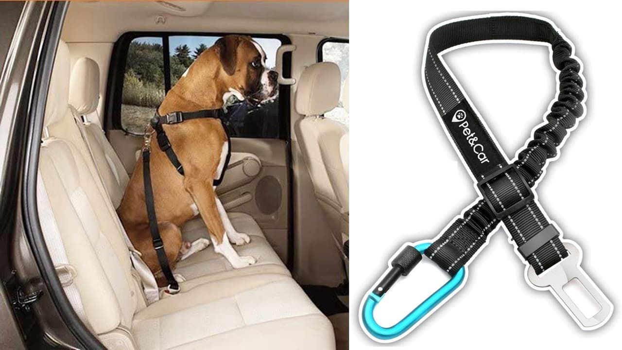 Cinturon De Seguridad Extensible Para Arnes De Perro