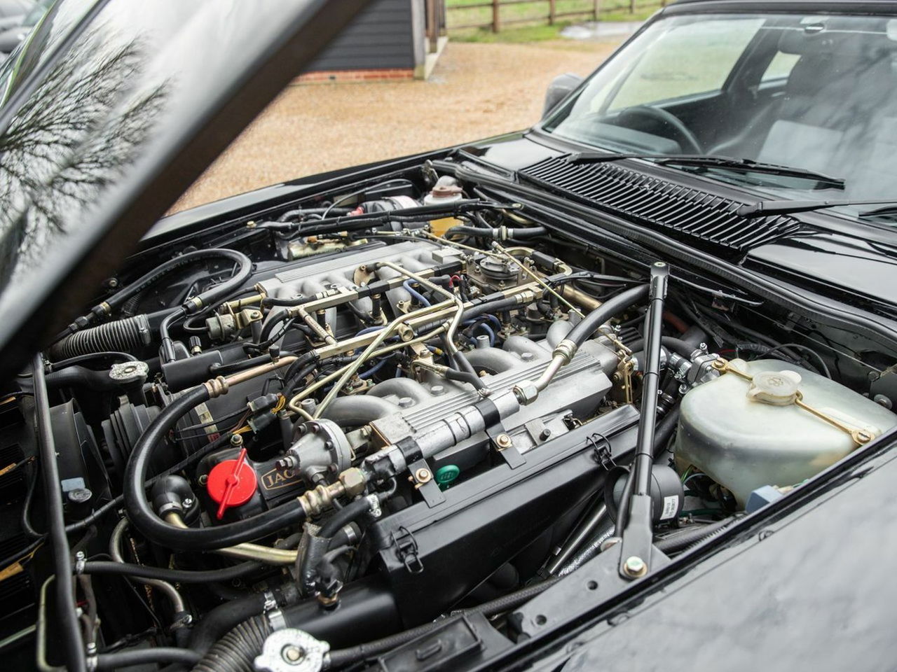 Jaguar Lister Xjs 11