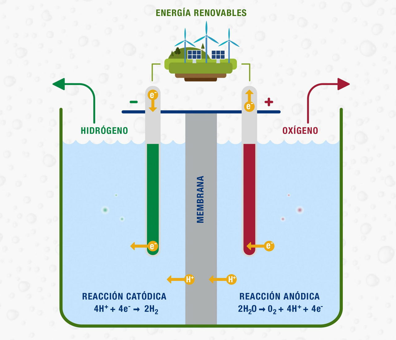 Electrolisis Hidrogeno Verde Iberdrola Reaccion