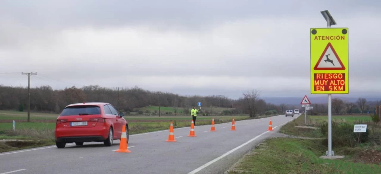 Senales Trafico Pioneras Tramos Presencia Animales 01