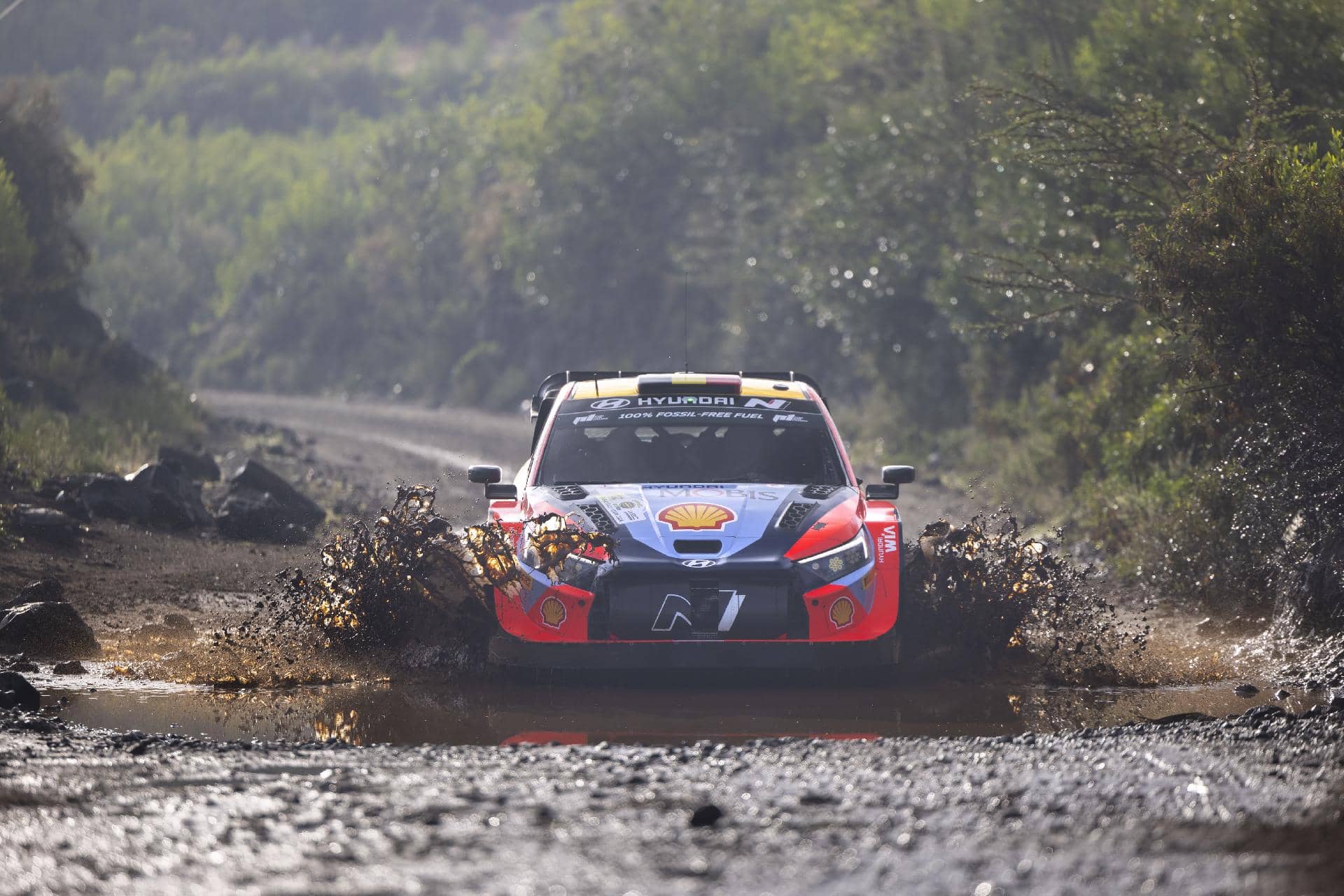 Rally Safari 2024: Una roca deja a Thierry Neuville sin ‘Super Sunday’