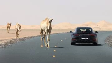 Una toma trasera del Porsche 911 Híbrido en carretera acompañado por camellos.