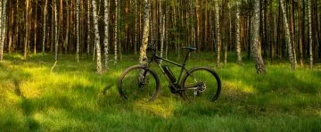 Mountain bike eléctrica Eleglide M1 Plus en entorno natural