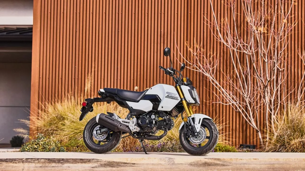 Honda MSX 125 Grom luce su diseño compacto y estilo urbano.