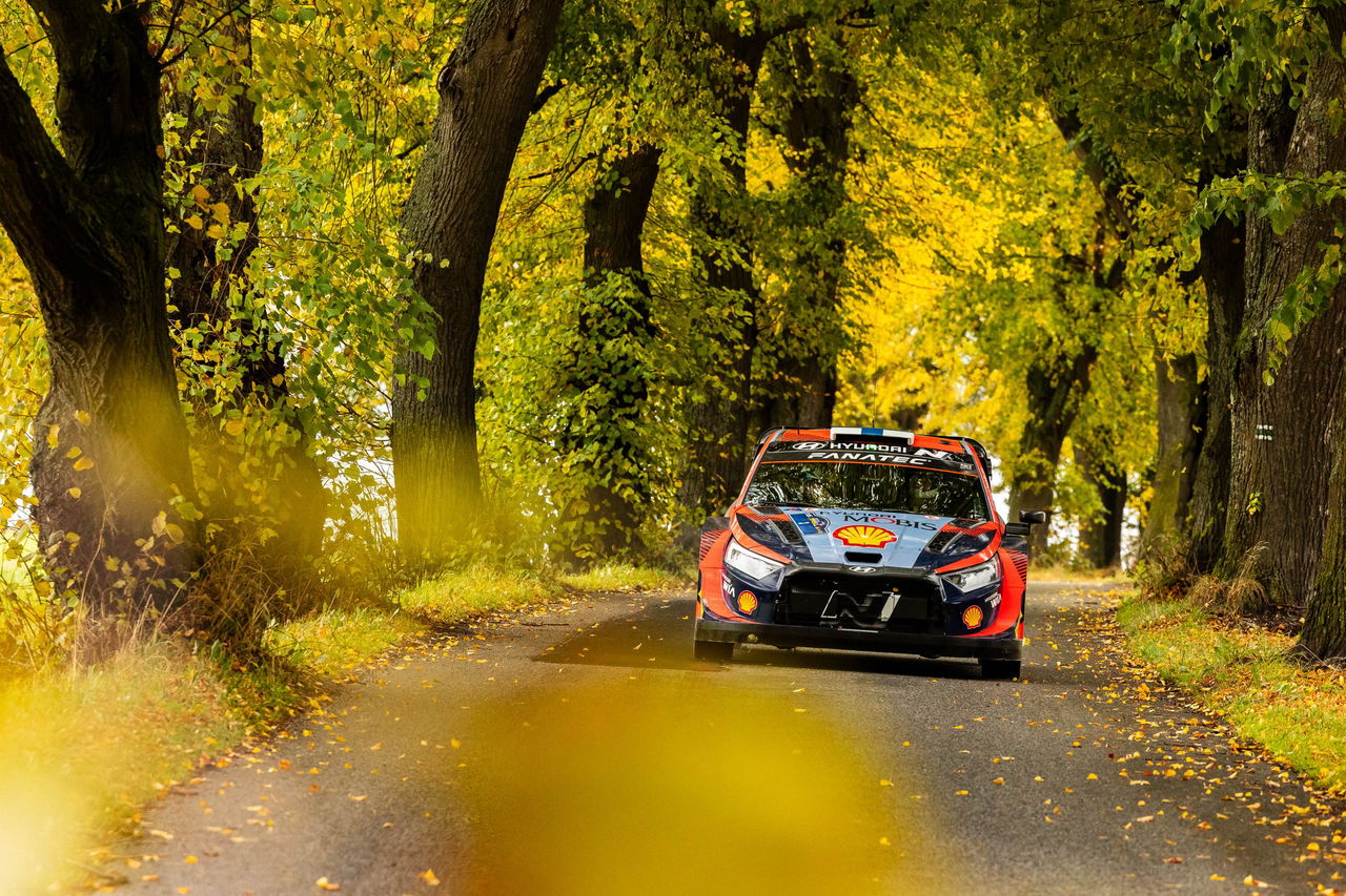 Vehículo WRC afrontando etapa de Rally de Centroeuropa entre vegetación otoñal