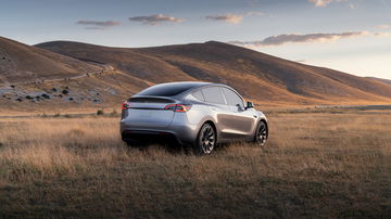 El Tesla Model Y muestra su elegante diseño en un entorno natural.