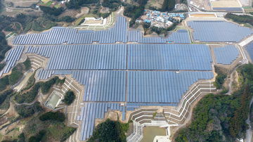 El circuito que se tragó dos catástrofes naturales, ahora un gran huerto solar.