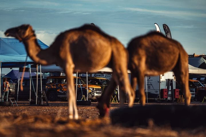 El interior del nuevo modelo destaca por su confort y diseño orientado al off-road.