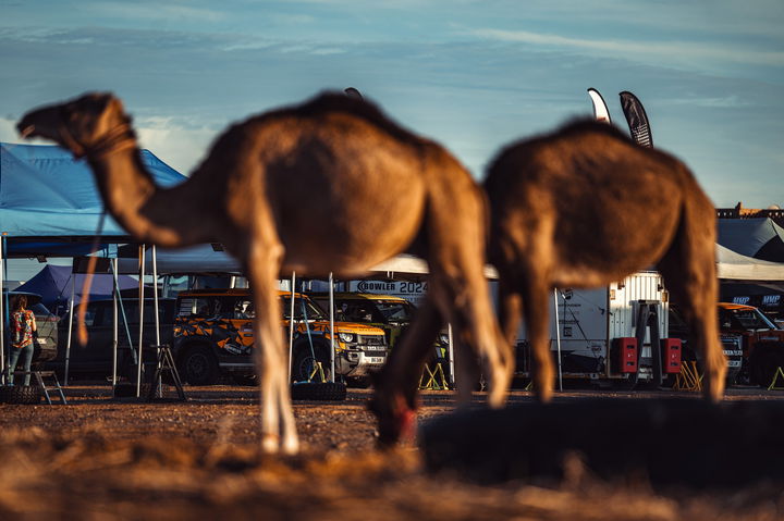 El interior del nuevo modelo destaca por su confort y diseño orientado al off-road.