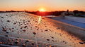 Las placas solares también son para el invierno y así es como puedes sacarle el máximo rendimiento.