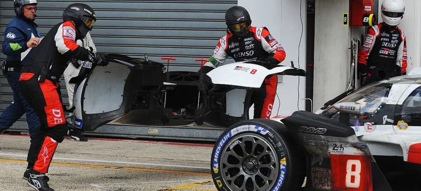 Accidente Con Una Ardilla En Le Mans