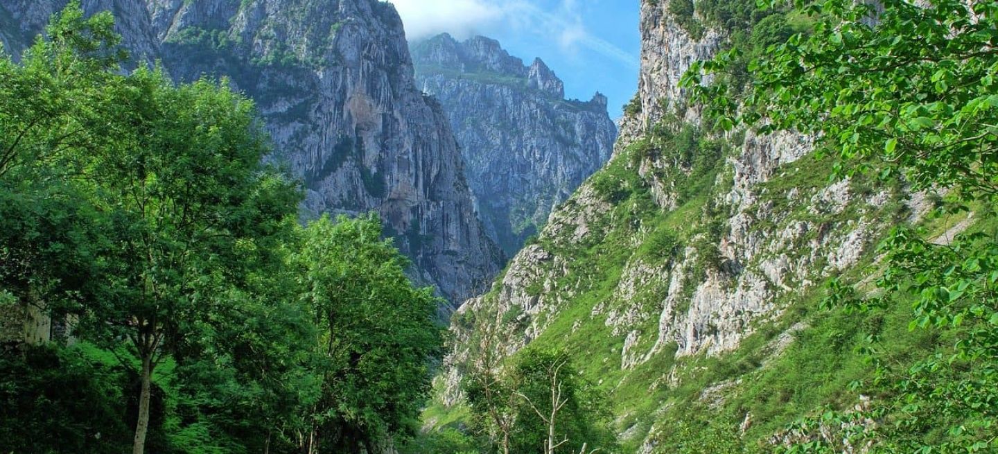 Asturias Montana Carretera