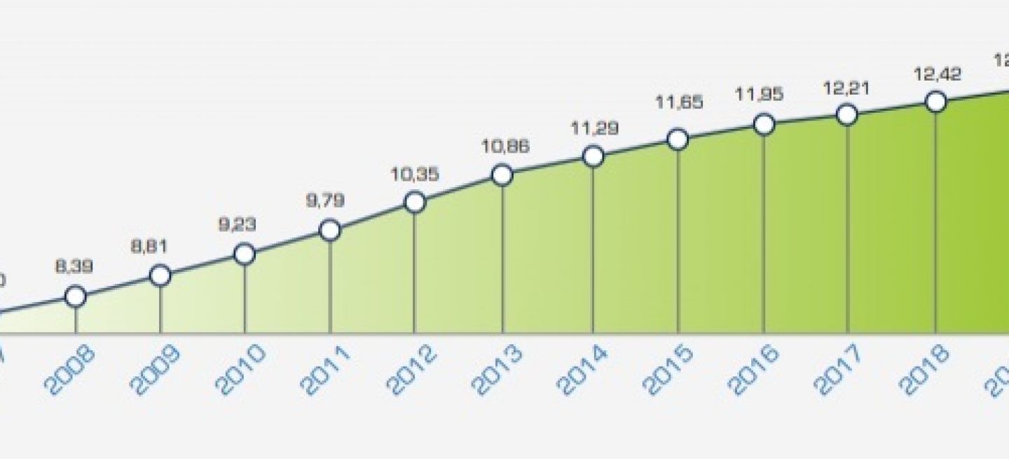 Opinion Edad Envejeciomiento Parque Movil 2020 Grafico