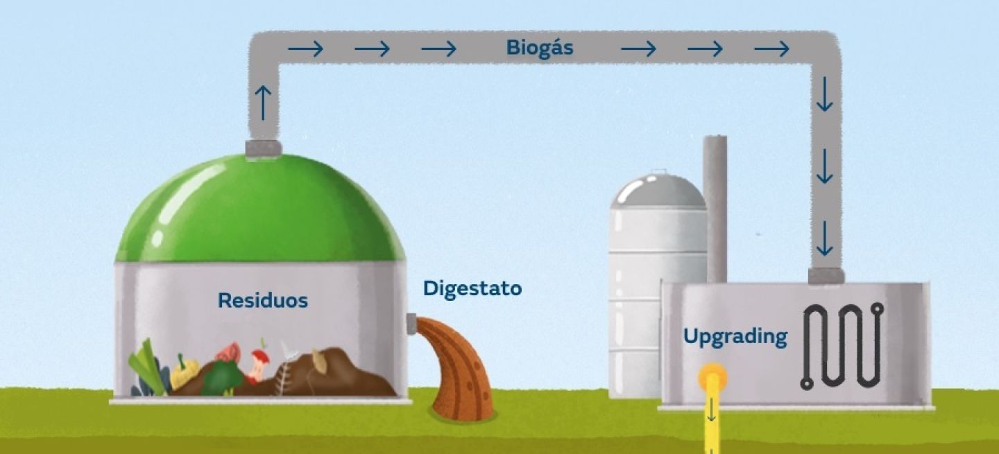 Planta De Biometano