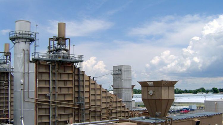 Cogeneration Plant