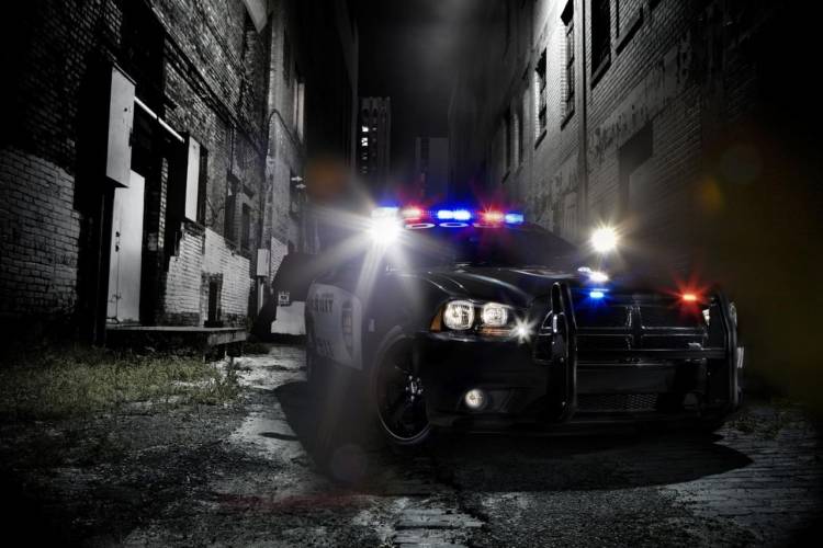 Primera imagen del nuevo Dodge Charger, ¡como coche de policía! |  Diariomotor