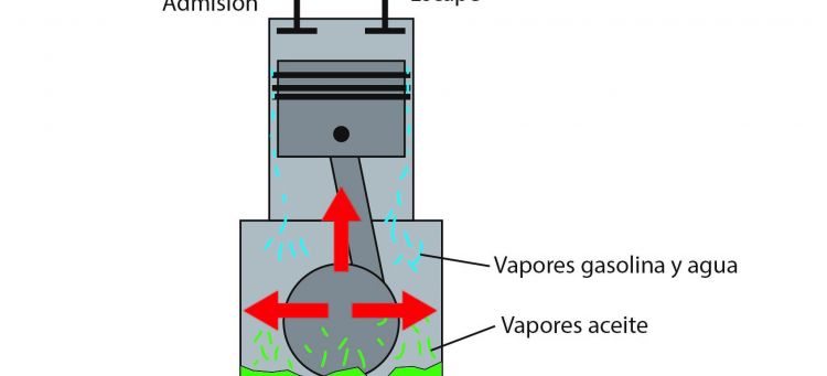 Decantador en el coche o separador de aceite y válvula PCV, ¿qué son y cómo  funcionan?